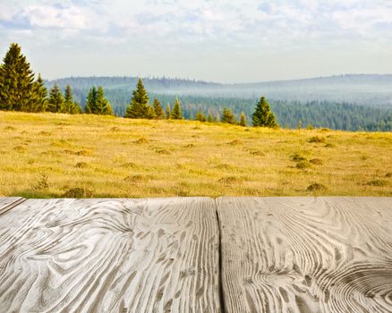 Rustic wooden table against forest landscape. Clipping path for table