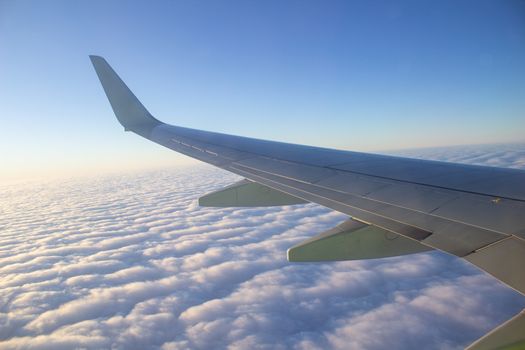 Airplane wing in the sky. View from a great height