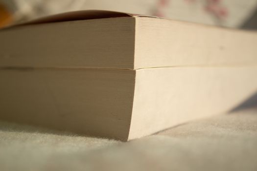 There are several books on the windowsill close up.