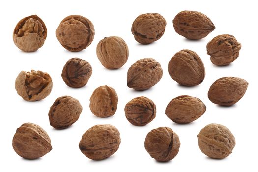 Single shelled whole and cracked  walnuts (edible seeds of tree of Juglans regia). Separate clipping paths for both nuts and shadows, infinite depth of field