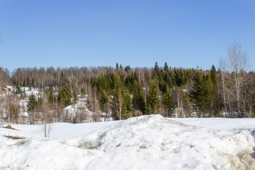 Awesome winter landscape. A snow-covered path among the trees in the wild forest. Winter forest. Forest in the snow.