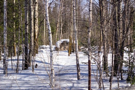 Awesome winter landscape. A snow-covered path among the trees in the wild forest. Winter forest. Forest in the snow.
