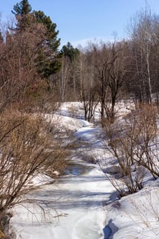 Frozen river in the winter in the forest. Sunny day. Beautiful winter landscape.