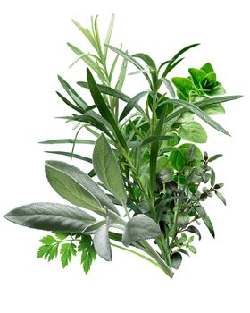 Herbes de Provence, a combination of Chervil, Tarragon, Oregano, Rosemary, Thyme, Sage. French cuisine. Clipping path, infinite depth of field