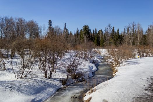 Frozen river in the winter in the forest. Sunny day. Beautiful winter landscape.