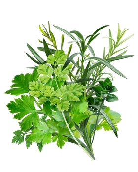 Herbes de Provence, a combination of Parsley,Chervil, Tarragon, Lavender, Oregano, Rosemary. French cuisine. Clipping path, infinite depth of field