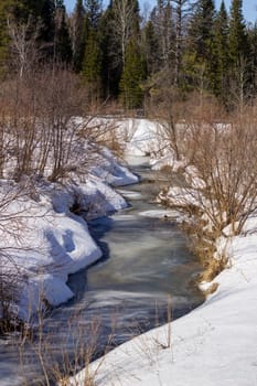 Frozen river in the winter in the forest. Sunny day. Beautiful winter landscape.