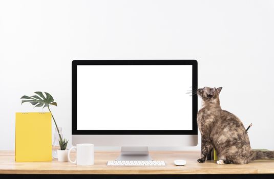 Mockup Blank screen desktop computer and decorations with cat animal on wood table and white wall background.