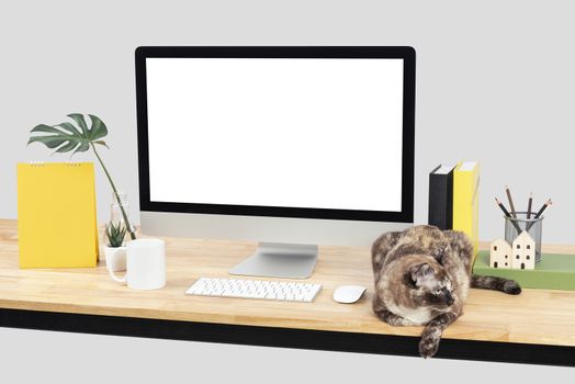 Mockup Blank screen desktop computer and decorations with cat animal on wood table and white wall background.