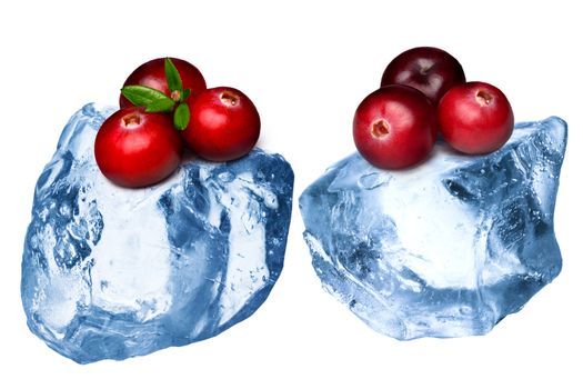 Wild cranberries freezing on rough crushed ice. Clipping paths, large depth of field 