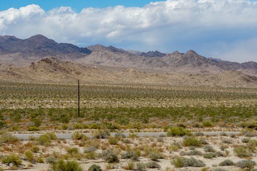 Endless desert road. Long straight road in desert. Adventure travel in a desert. California. USA