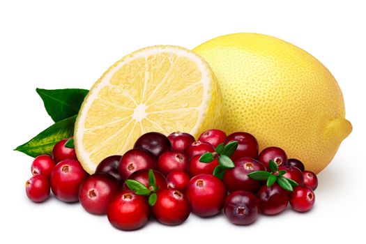 Natural sources of antioxidants. Cranberry with lemon. Clipping paths for both composite and shadow, infinite depth of field