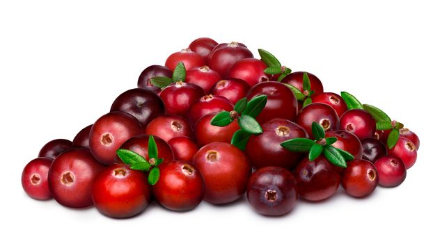 Heap of wild cranberries with leaves. Infinite depth of field, clipping paths for berries and shadow