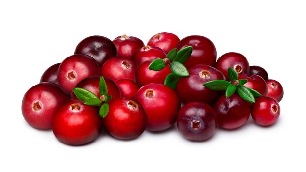 Wild cranberries with leaves. Infinite depth of field, clipping paths for berries and shadow