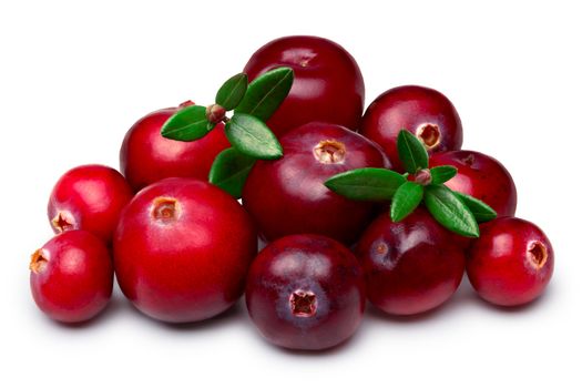 Heap of wild cranberries with leaves. Clipping paths, infinite depth of field, retouched.