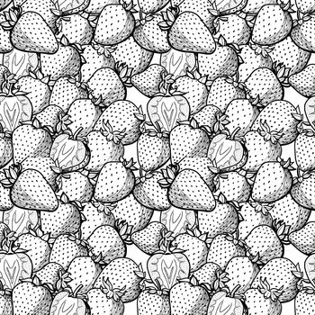 Strawberry vector drawing pattern. Isolated hand drawn berry on white background. Summer fruit engraved style illustration. Detailed vegetarian food. Great for label, poster, print