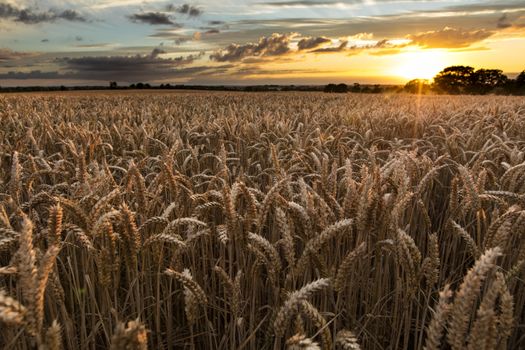 Near Caistor, Lincolnshire, UK, July 2017, View of Lincolnshire Wolds and a sunset