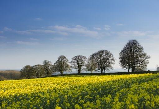 Near Normanby, Lincolnshire, UK, July 2017, View of Lincolnshire Wolds from Viking Way