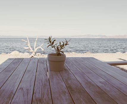 Empty restaurant by the Aegean sea and cruise boat, travel and nature, scene