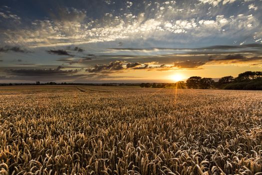 Near Caistor, Lincolnshire, UK, July 2017, View of Lincolnshire Wolds and a sunset