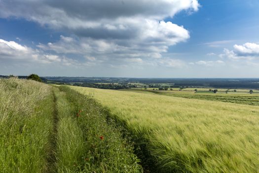 Near Normanby, Lincolnshire, UK, July 2017, View of Lincolnshire Wolds from Viking Way