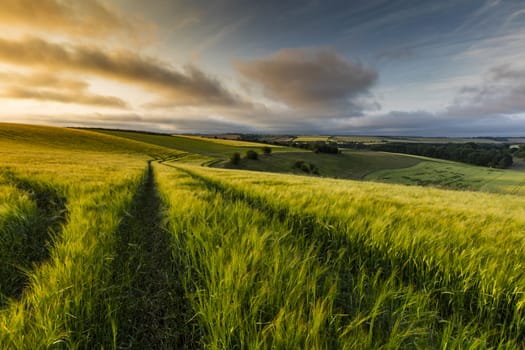 Bluestone Heath Road, Lincolnshire, UK, July 2017, Landscape view of the Lincolnshire Wolds