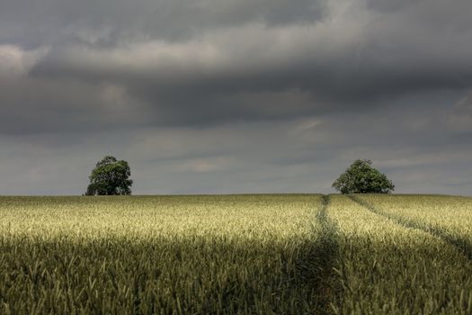 Near Nettleton, Lincolnshire, UK, July 2017, Landscape view of the Lincolnshire Wolds