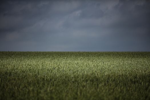 Near Nettleton, Lincolnshire, UK, July 2017, Landscape view of the Lincolnshire Wolds