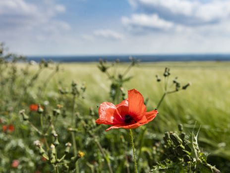 Near Normanby, Lincolnshire, UK, July 2017, View of Lincolnshire Wolds from Viking Way