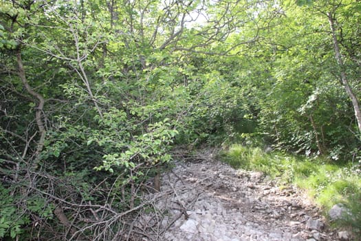 Hiking path through mountains. Trekking mountain trail.