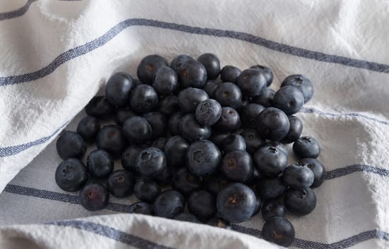 Fresh blueberries isolated on white tablecloth with blue lines.