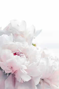 Bouquet of peony flowers as luxury floral background, wedding decoration and event branding design