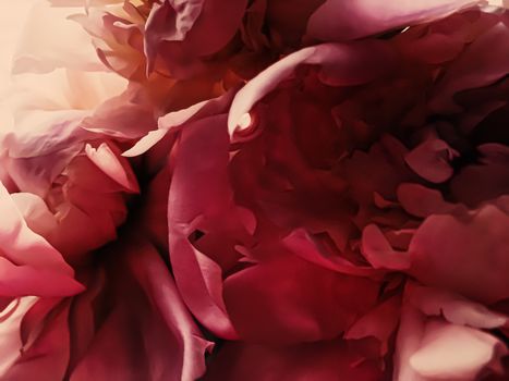 Red peony flower as abstract floral background for holiday branding design