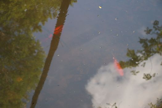 alpine small pond and the reflection of mountains on the water in summer