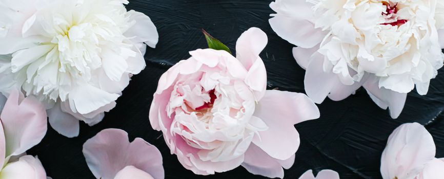 Blooming peony flowers as floral art background, botanical flatlay and luxury branding design