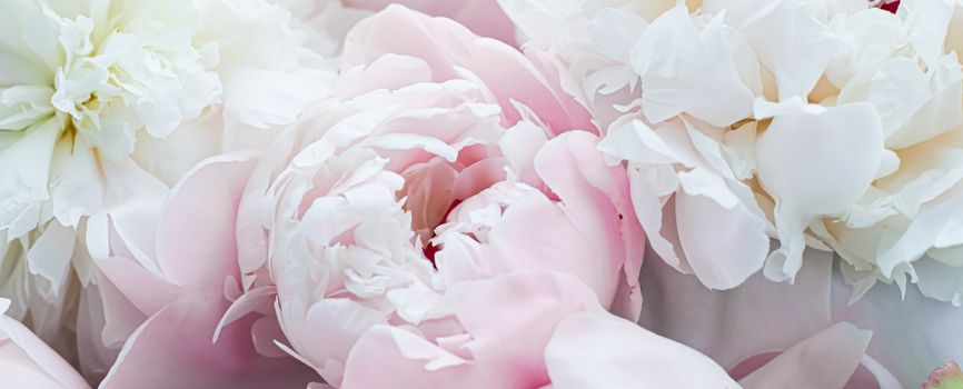 Blooming peony flowers as floral art background, botanical flatlay and luxury branding design