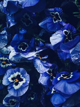 Blue flower on dark background, floral and nature concept
