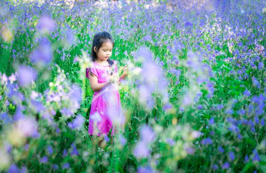 happy little asian girl in crested serpent sweet purple flowers garden field