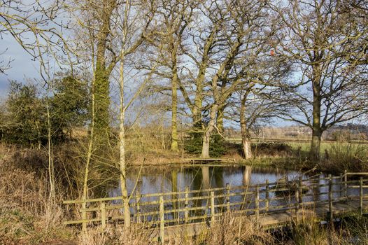 A chalk pond near Bradfield village in Berkshire, England.