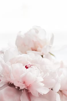 Bouquet of peony flowers as luxury floral background, wedding decoration and event branding design