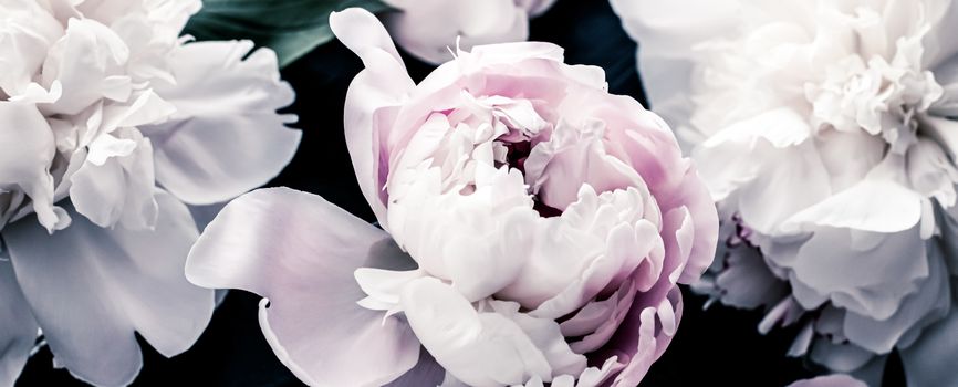 Pastel peony flowers as floral art background, botanical flatlay and luxury branding design