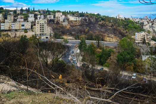 HAIFA, ISRAEL - DECEMBER 08, 2016: View of the results of the fire of November 24, with burn down trees and houses, in Haifa, Israel