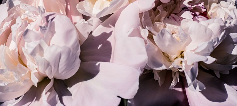 Peony flowers as luxury floral art background, wedding decor and event branding design