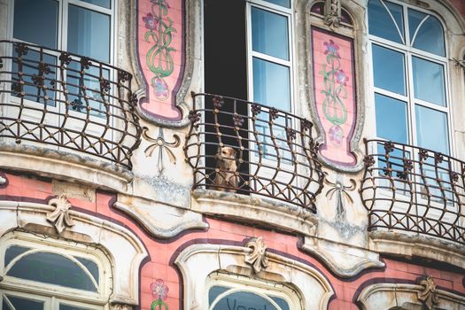 Aveiro, Portugal - May 7, 2018: Dog looking at the window of a typical house in the historic city center on a spring day