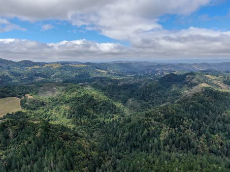 Aerial view of Napa Valley vineyard landscape during summer season. Napa County, in California's Wine Country.