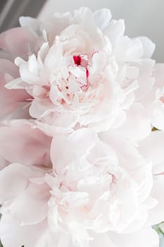 Bouquet of peony flowers as luxury floral background, wedding decoration and event branding design