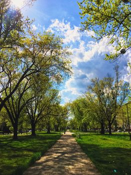 Sunny alley in the city park in spring, nature and outdoor landscape scenery