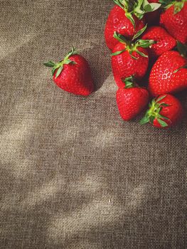 Organic strawberries on rustic linen background, fruit farming and agriculture