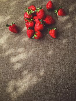 Organic strawberries on rustic linen background, fruit farming and agriculture