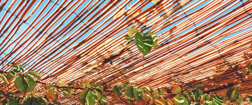 Wooden roof on the beach, nature and design